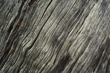 Wood Texture With Natural Pattern. closeup of wood texture
