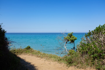 Apulian coastline in a summer day. Italy