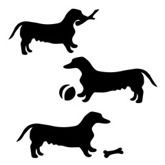 The dog isolated. Black silhouette of a dog on a white background. Black icon of a dog. Vector illustration.