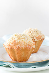 Pumpkin Apple Oats streusel Muffins on cooling rack. Selective focus. Copy space.