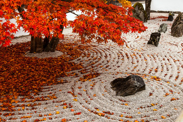 光明禅寺の紅葉