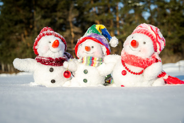 Happy snowman family