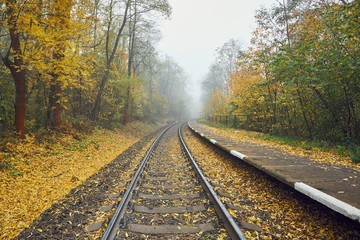 Rural railway station in fog