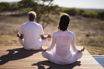 Fototapeta premium Rear view of couple practicing yoga on wooden plank