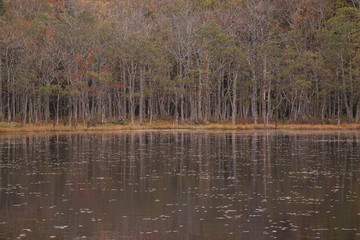 晩秋の湖畔