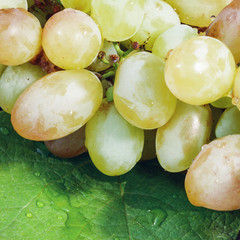 bunch green grapes, , food closeup