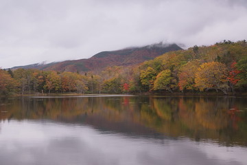 湖に映る原生林