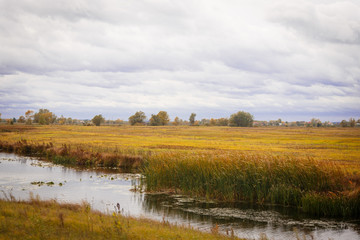 Autumn landscape. Magical autumn trees, reeds, lake