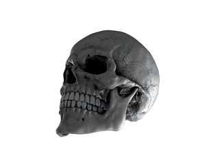 Naklejka premium 3d, appearance, bleak, body, bone, brain, clipping, cranium, dark, dead, death, decay, die, dying, face, fallen, fear, finality, front, ghost, graveyard, grim, halloween, head, heal, health, hell, hor