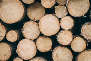 Fototapeta premium Pile of chopped woods, a log pattern bacground