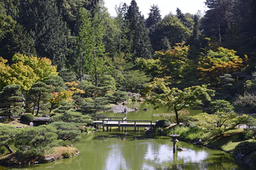 Fototapeta na wymiar Beautiful autumn japanese garden in Seattle