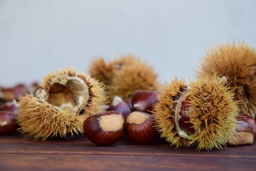 Esskastanien und Kastanienigel auf Holztisch