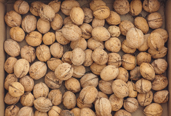 Fresh harvested walnuts in a box