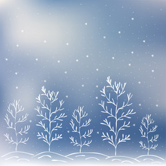 Fototapeta na wymiar Winter backgrounds, trees and snow