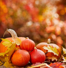 Naklejka na ściany i meble pumpkins on a table with autumn leaves