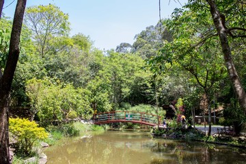 Um dia no Parque.