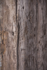 Old wood texture