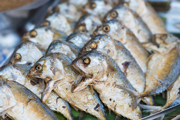 Fried shortbodied mackerel fish