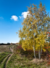 Fototapeta premium Autumn mood