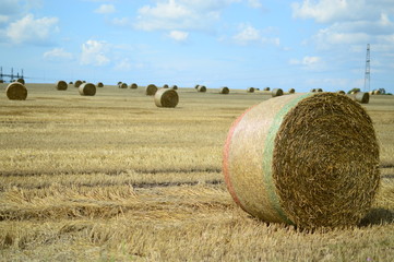 hay field