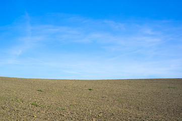 Minimalist landscape - curved horizon of field. Blue sky with white clouds as copyspace