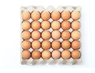 fresh chicken eggs in tray isolated clipping path.