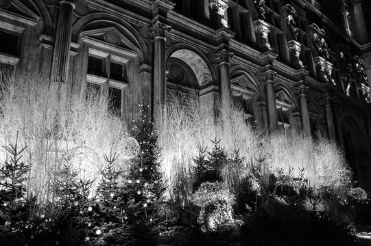 Fototapeta Parisian City Hall (Hotel de Ville) decorated for Christmas at night. Black and white.