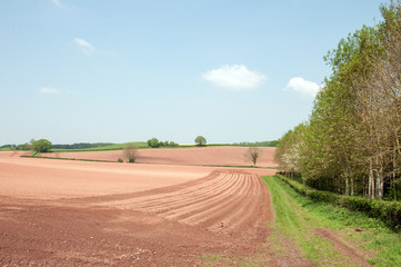 Fototapeta na wymiar Agricultural landscape and plowed fields in the summertime in the United Kingdom.