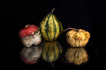 Pumpkins with autumn leaves