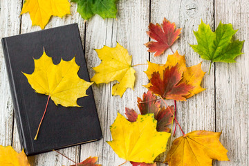 Book and colorful maple leaves on white wooden background
