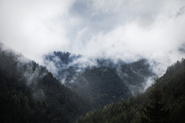 Landscape with misty mountains and forests