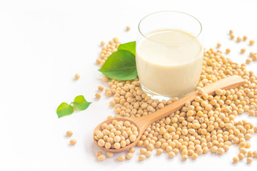 A glass of soy milk with soybeans on wooden spoon isolated on white background. 