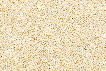White sesame background
