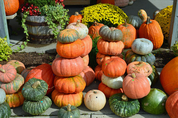 Photo of a several stacks of various gourds on display at a rural farm market