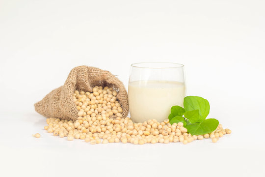 A glass of soy milk with soybeans in burlap sack isolated on white background. 