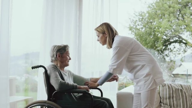 Health visitor and a senior woman during home visit.