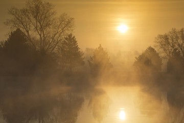 This sunrise on a calm, foggy spring morning was picture perfect with its layers of golden mist and faded shadows.