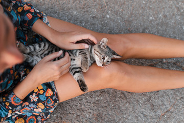 A girl is stroking in the street a beautiful homeless cat