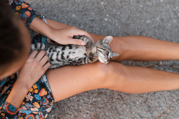 A girl is stroking in the street a beautiful homeless cat