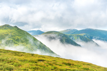Fototapeta na wymiar Green mountains in the clouds