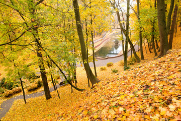 beautiful golden autumn in the city park
