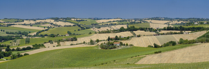 Fototapeta na wymiar Summer landscape in Marches (Italy) near Ostra