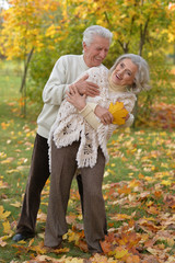 caucasian senior couple with leaves 