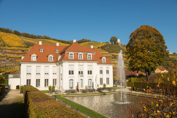 Fototapeta na wymiar Radebeul mit Schloss Wackerbarth und Jacobstein in den Weinbergen im Herbst