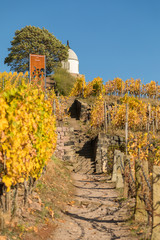 Radebeul mit Schloss Wackerbarth und Jacobstein in den Weinbergen im Herbst
