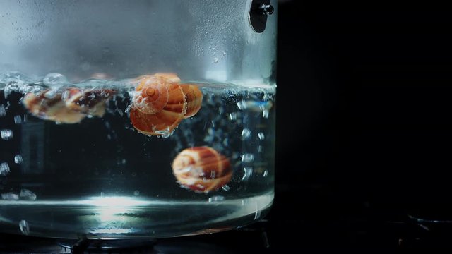 4k Water Boiling in Glass Pot with Escargots