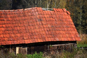 Alte Scheune mit zerstörtem Dach und mit Moose und Flechten bewachsene Dachziegel