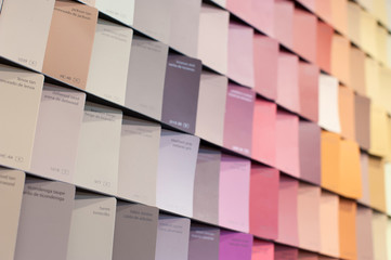 Designer Professional Palette catalog of colors for choosing the desired shade