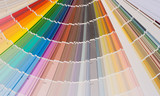 Designer Professional Palette catalog of colors for choosing the desired shade