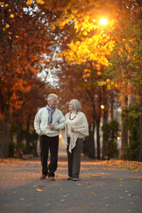  couple walking  in the park 